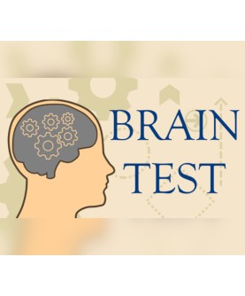 Brain Test Steam Key GLOBAL